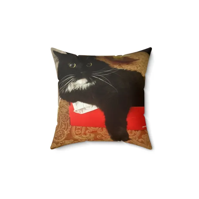 Throw Pillow