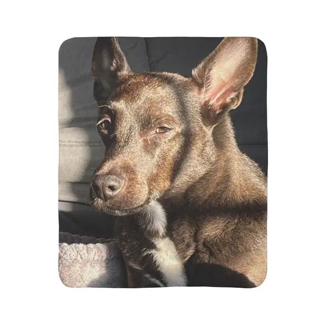Real customer custom pet blanket