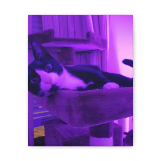 Real customer custom pet canvas print
