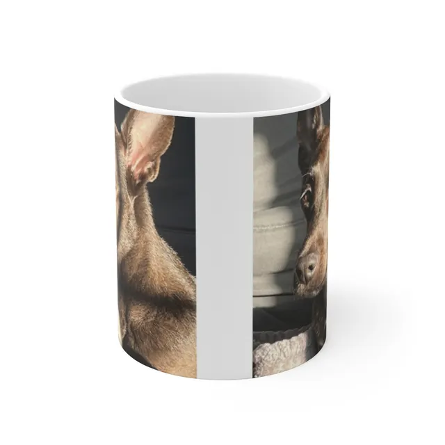 Real customer custom pet mug